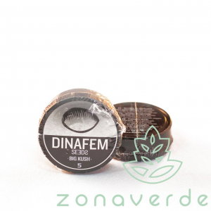 Seminte Feminizate - Seminte Canabis Big Kush Feminized, 5 seminte