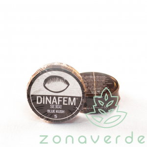 Seminte Feminizate - Seminte Canabis Blue Kush Feminized, 5 seminte