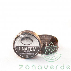 Seminte Feminizate - Seminte Canabis Blueberry Cookies Feminized, 5 seminte