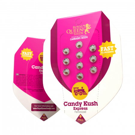 Seminte Feminizate - Seminte Canabis Candy Kush Express Feminized, 5 seminte