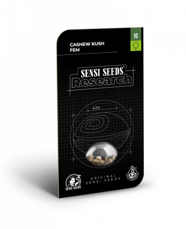 Seminte Feminizate - Cashew Kush Feminized, 5 seminte