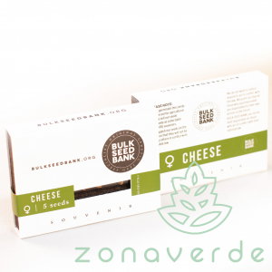 Seminte Cannabis - Seminte Canabis Cheese Feminized