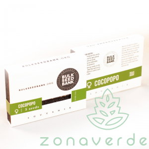 Seminte Cannabis - Seminte Canabis Cocopoco Feminized
