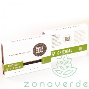 Seminte Cannabis - Seminte Canabis Critical Feminized
