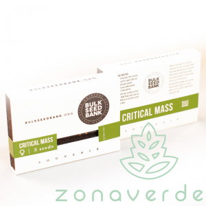 Seminte Cannabis - Seminte Canabis Critical Mass Feminized