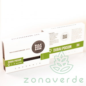 Seminte Feminizate - Seminte Canabis Dubai Poison Feminized