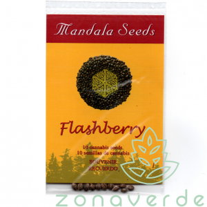 Seminte Cannabis - Seminte Canabis Flashberry Regular, 10 seminte