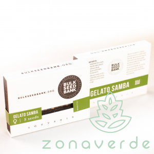 Seminte Feminizate - Seminte Canabis Gelato Samba Feminized