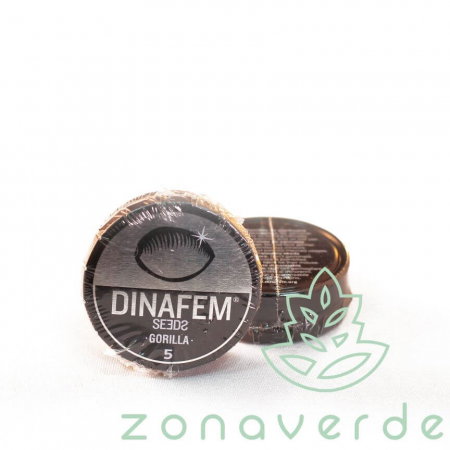 Seminte Feminizate - Seminte Canabis Gorilla Feminized, 5 seminte