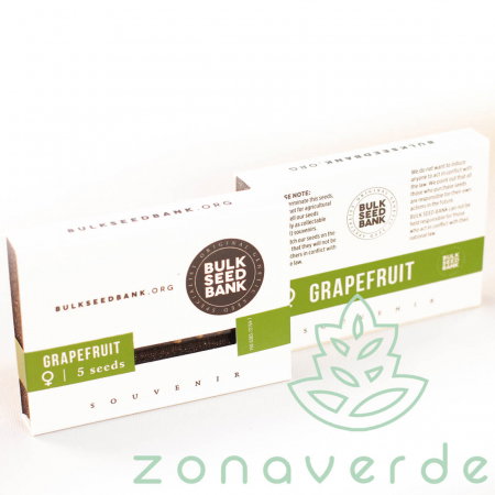 Seminte Feminizate - Seminte Canabis Grapefruit Feminized
