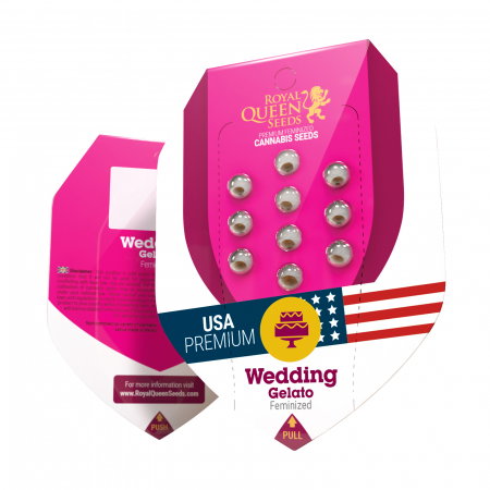 Seminte Feminizate - Seminte Canabis Wedding Gelato USA Feminized, 5 seminte