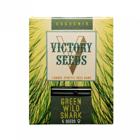 Seminte Feminizate - Seminte Canabis Green Wild Shark Feminized