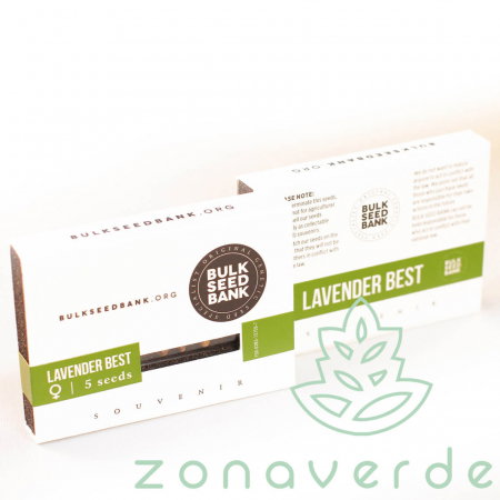Seminte Feminizate - Seminte Canabis Lavender Best Feminized