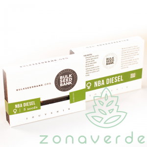Seminte Feminizate - Seminte Canabis NBA Diesel Feminized