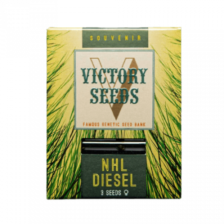 Seminte Feminizate - Seminte Canabis NHL Diesel Feminized