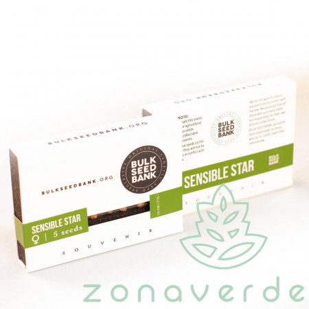 Seminte Feminizate - Seminte Canabis Sensible Star Feminized