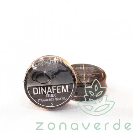Seminte Feminizate - Seminte Canabis Strawberry Amnesia Feminized, 5 seminte