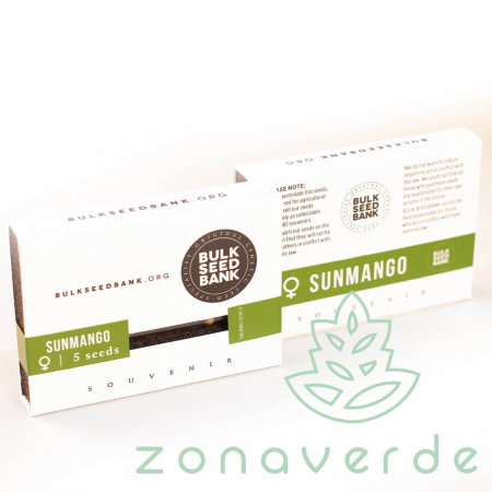 Seminte Feminizate - Seminte Canabis Sunmango Feminized
