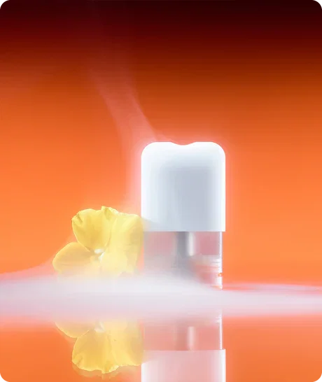 POD Ripple+, FOCUS, Mango [2]
