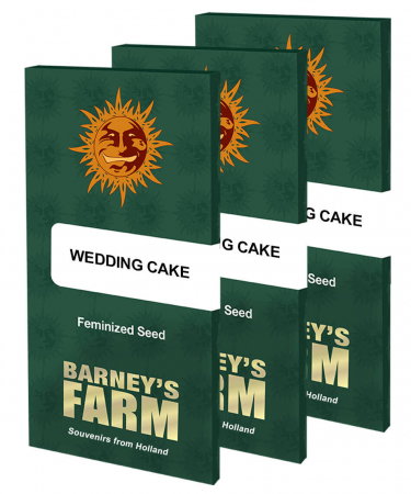 Seminte Feminizate - Wedding Cake Feminized, 5 seminte