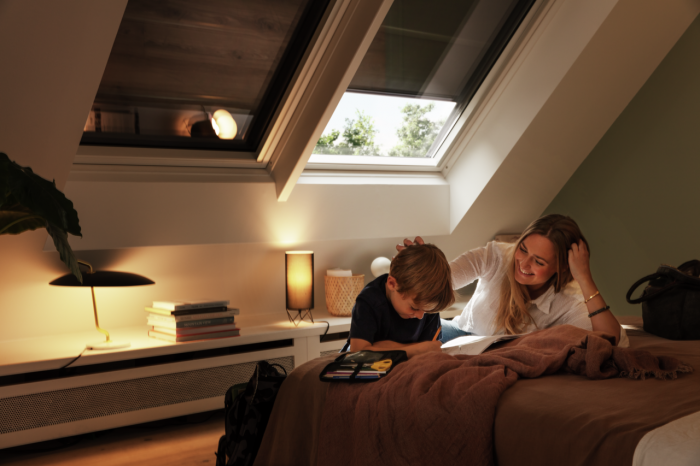 roleta-exterioara-velux-sss-greutate-redusa.jpg [9]
