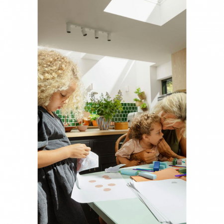 fereastra-velux-sticla-plata-terasa.jpg [5]