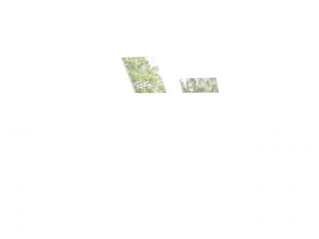 roleta-exterioara-velux-aluminiu.jpg [6]