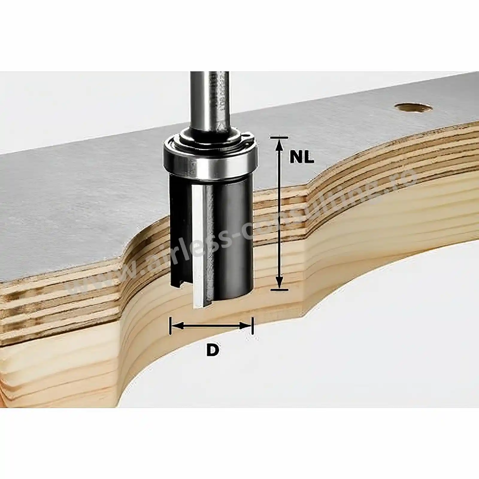 ESTABLISH様 Freza pentru muchii HW S8 D19/NL25, Festool