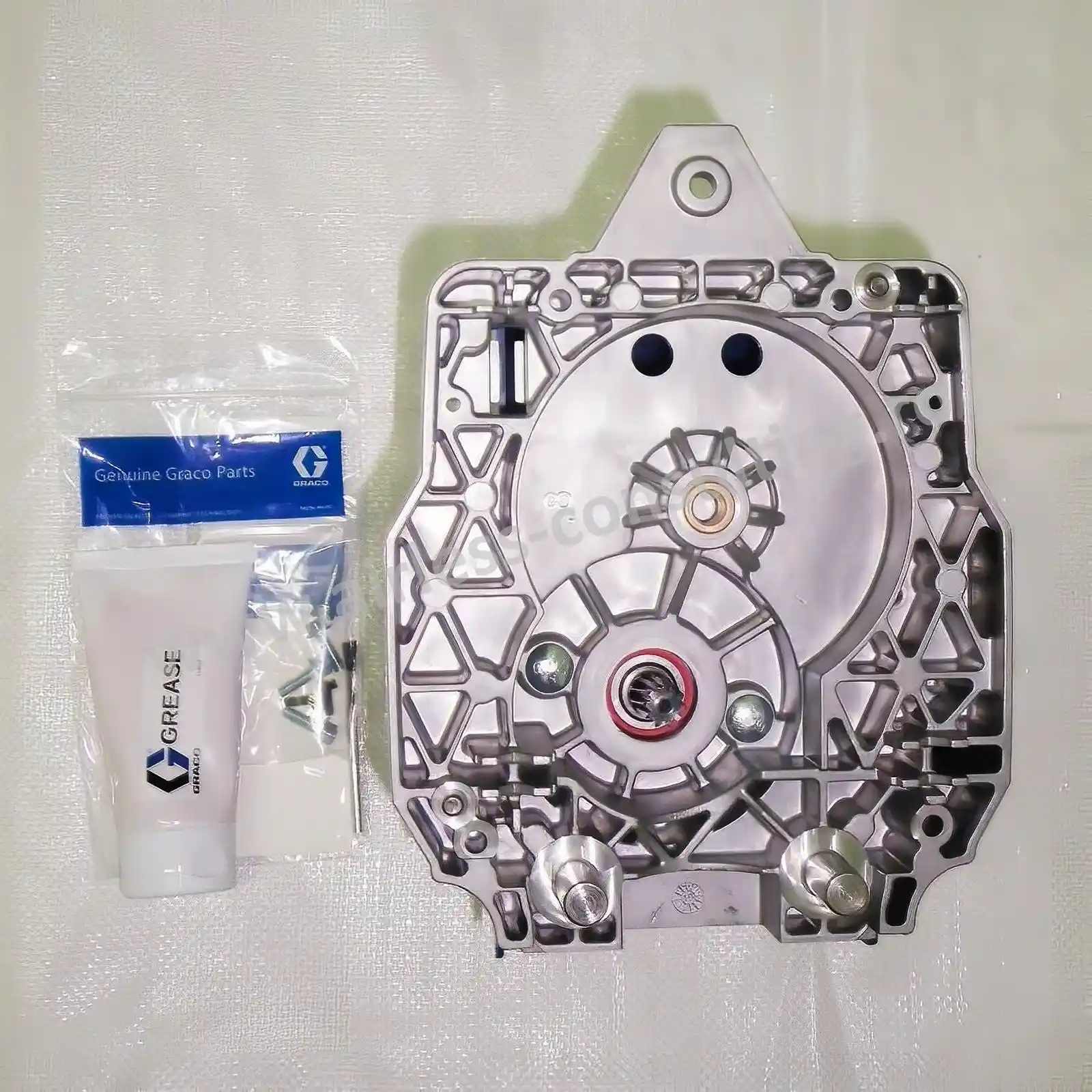 Motor pompa Graco GX 21, GX FF, 230v [3]