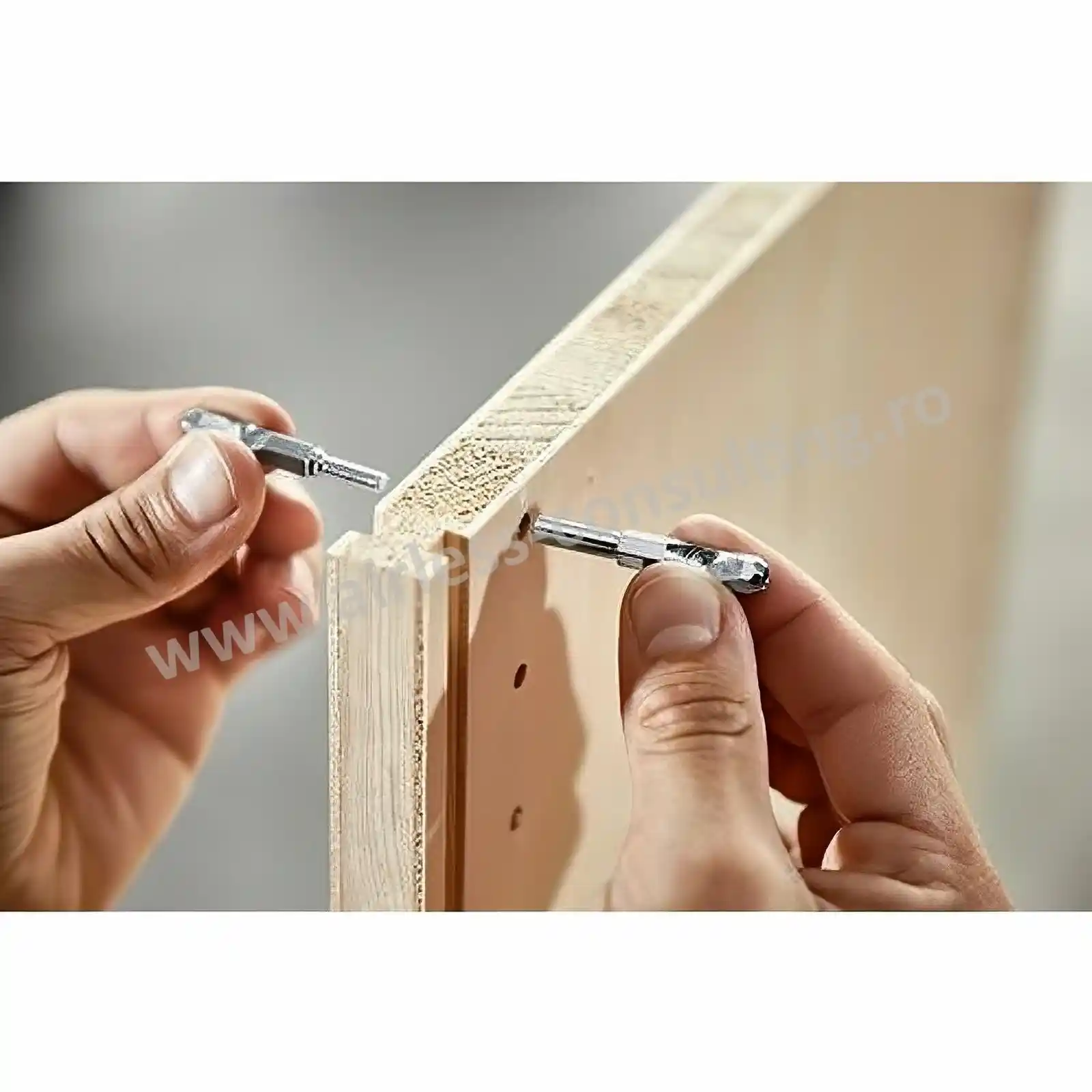 Piesa de imbinare pentru parti centrale MSV-LR32 D8/25 Festool [6]