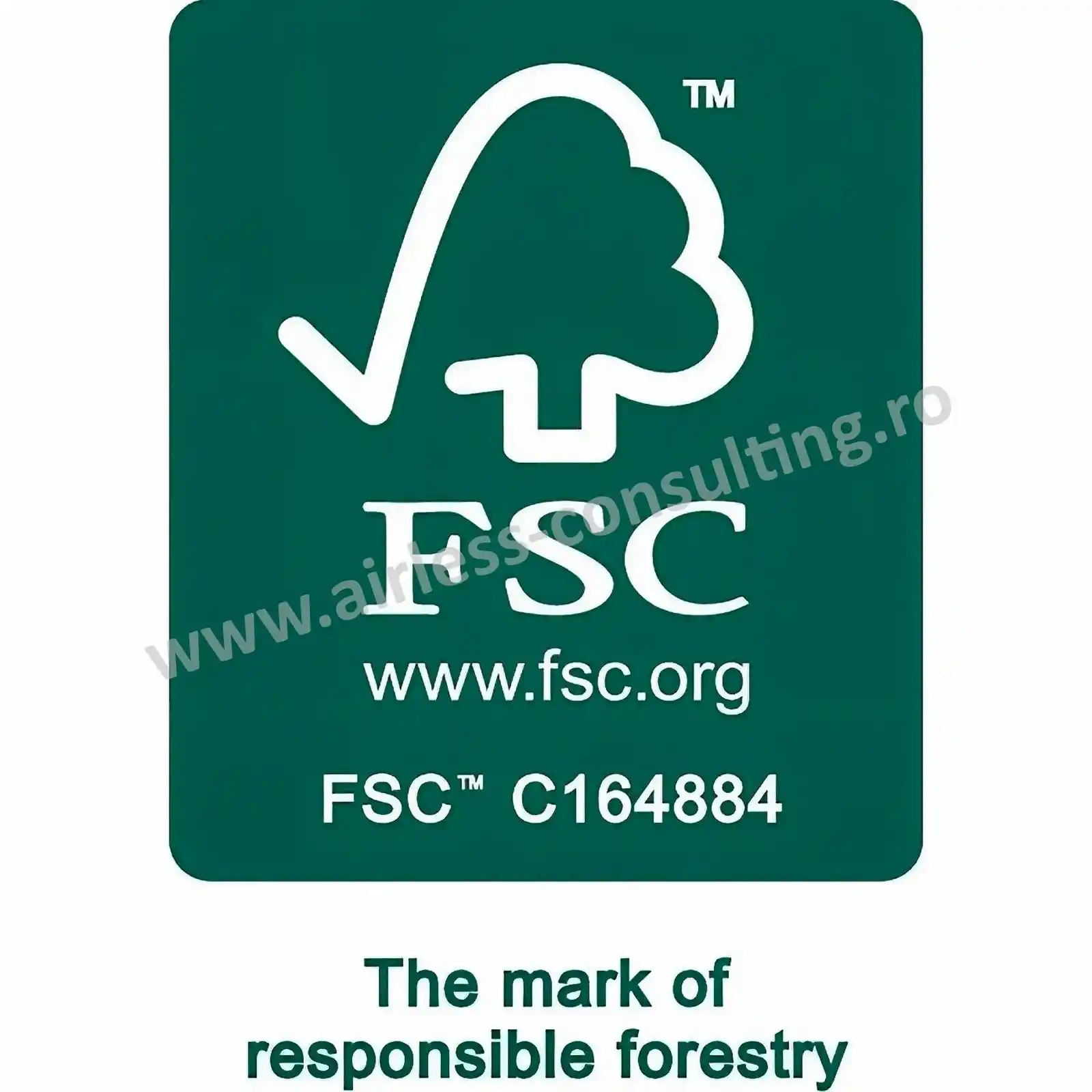Sac de filtrare FIS-CT 22/5 Festool [2]
