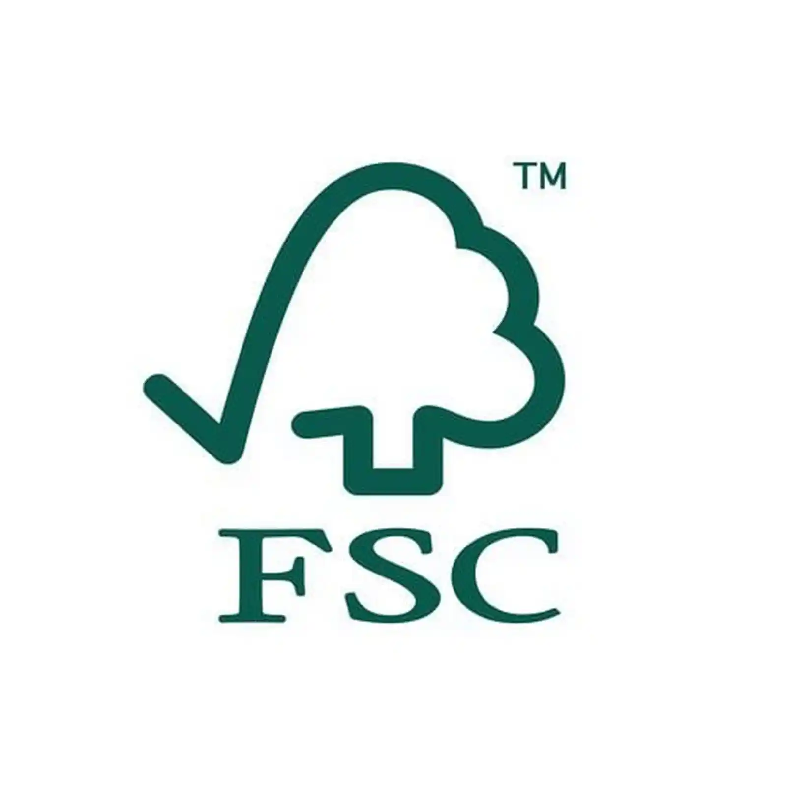 Sac de reziduri, de unica folosinta ENS-CT 36 AC/5 Festool [4]