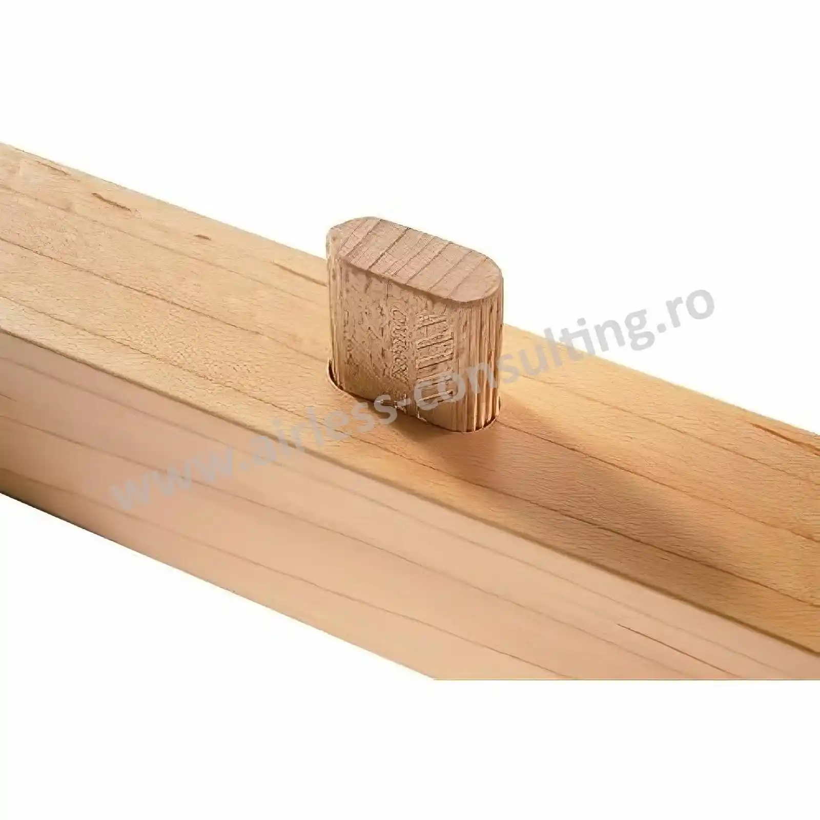 Cepuri din lemn de fag DOMINO D 5x30/300 BU Festool [3]
