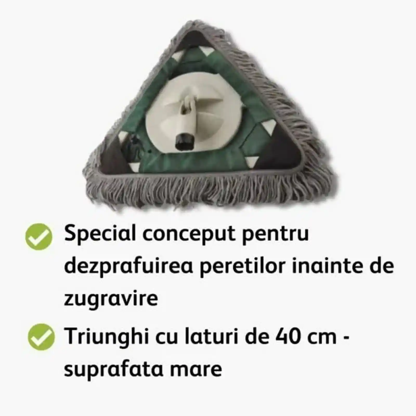Desprafuitor profesional Dust Eater, Wooster [2]