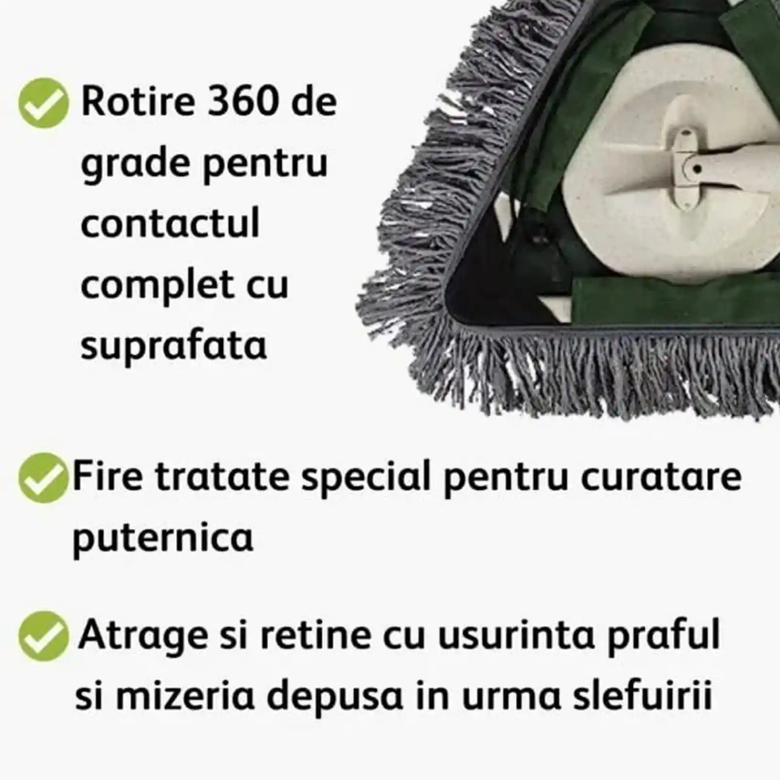 Desprafuitor profesional Dust Eater, Wooster [3]