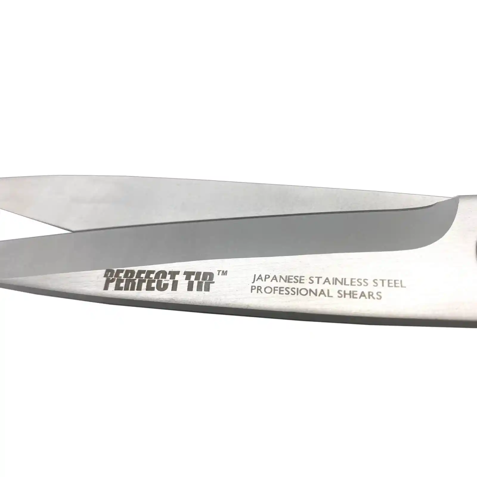 Foarfeca de precizie Perfect Tip, 205 mm, Axus [3]