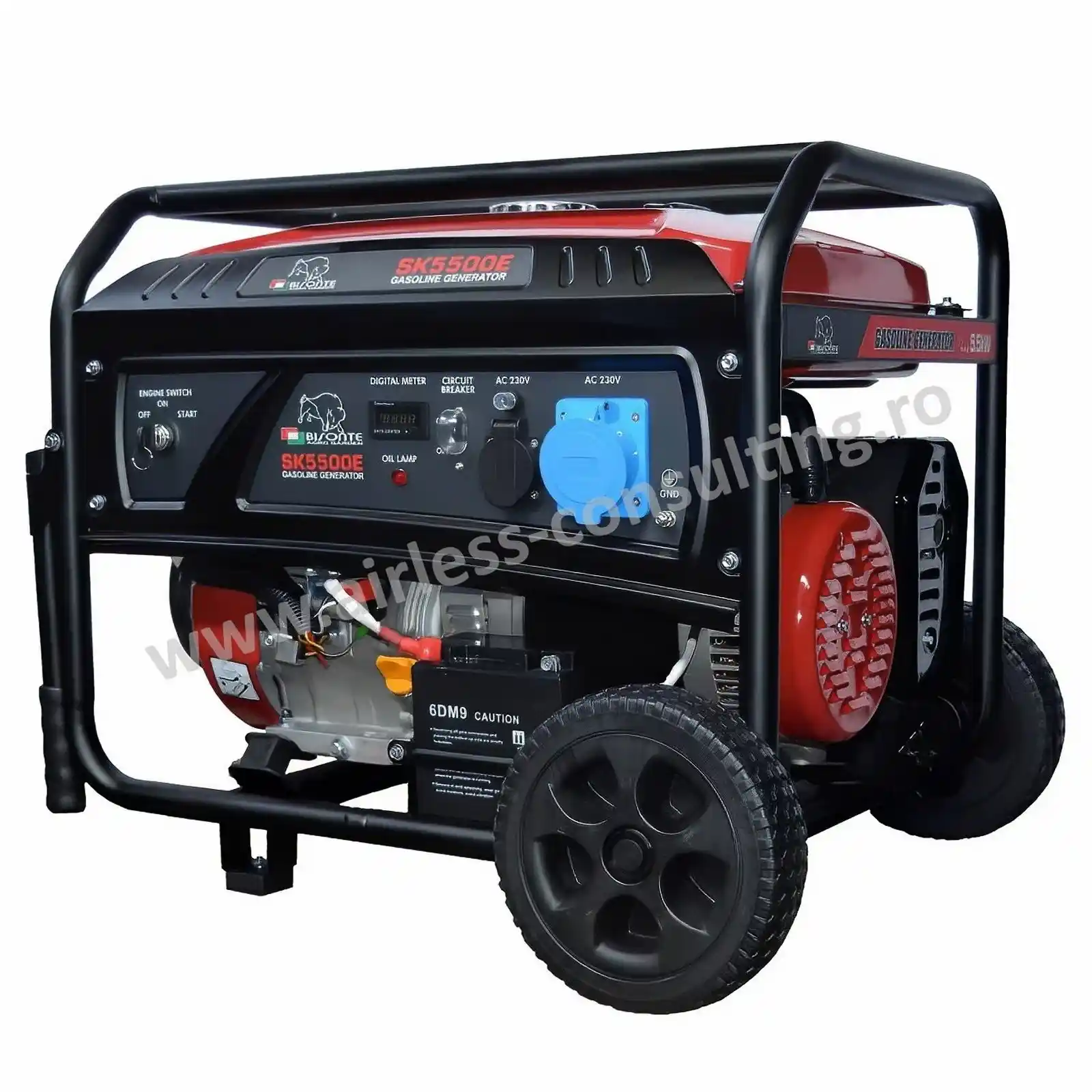 Generatoare - Generator de curent benzina, Bisonte, SK5500E, 5.5 kW, 230V, AVR