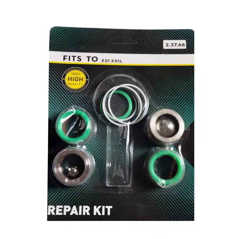 Piese de schimb pompe - Kit reparatie PAZ81X (Blister) Bisonte