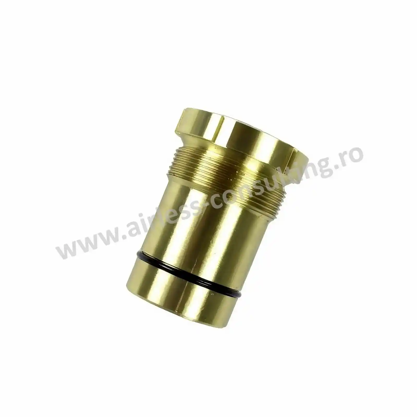 Piese de schimb pompe - Kit reparatie piulita completa piston, Graco, T max 506/657