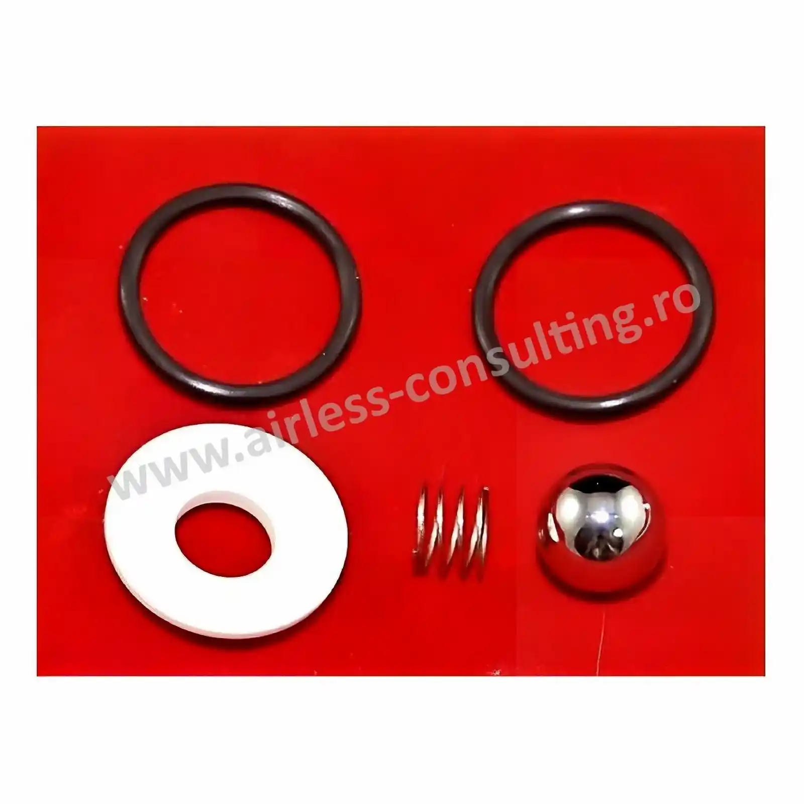 Piese de schimb pompe - Kit valva admisie Control Pro 250, 350, 250R, 350m