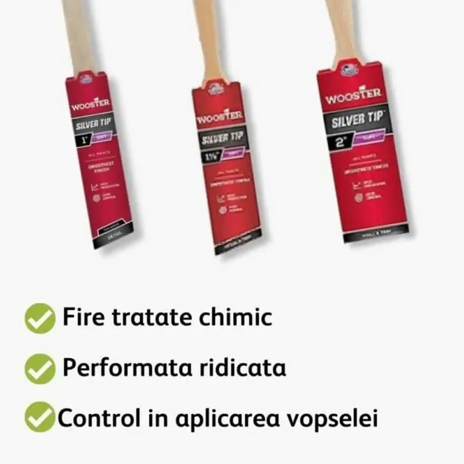 Pachet de 3 pensule premium, Silver Tip, Wooster [2]