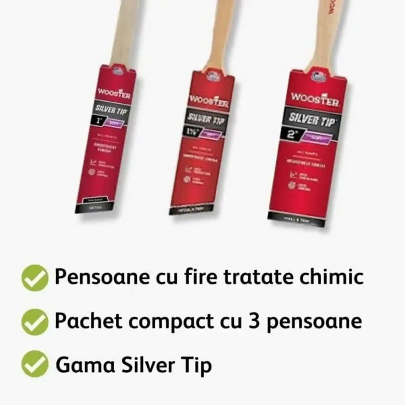 Pachet de 3 pensule premium, Silver Tip, Wooster [3]