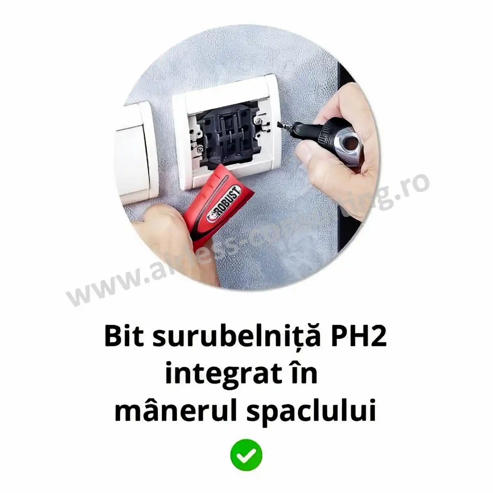 Spaclu galeata, OCAI, lama inox [1]