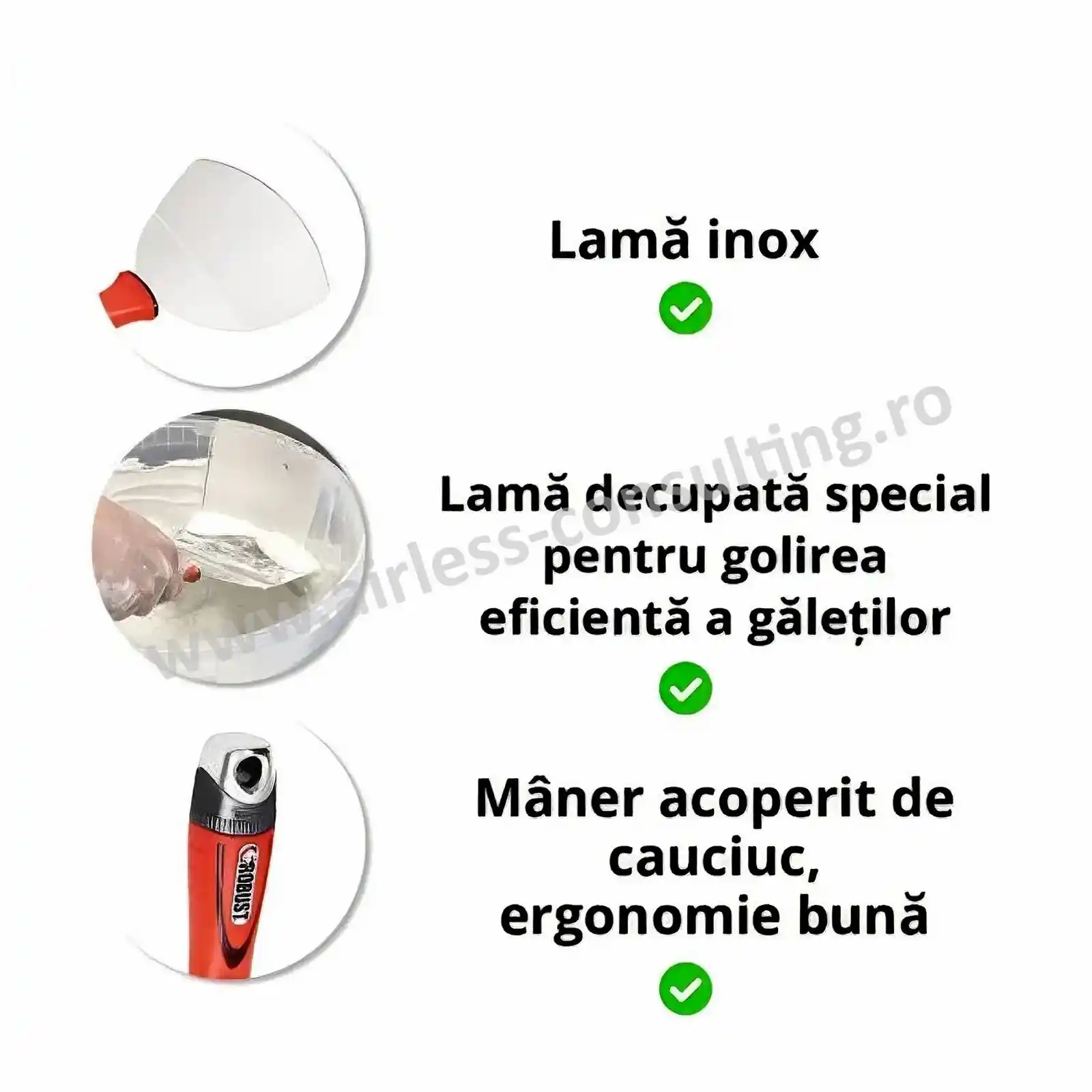 Spaclu galeata, OCAI, lama inox [2]