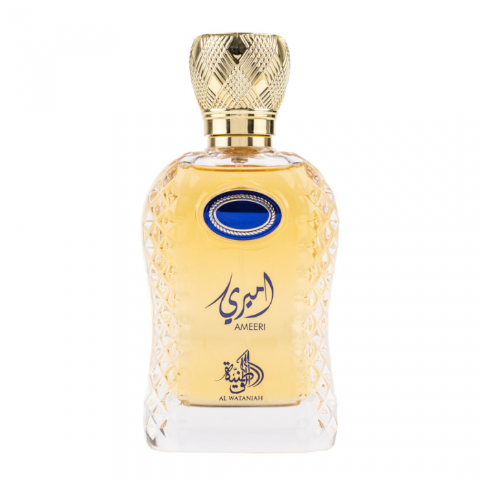 Ameeri 100ml - Apa de Parfum, barbati [5]