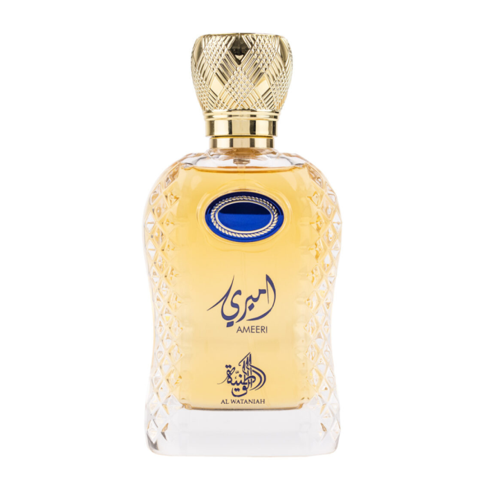 Ameeri 100ml - Apa de Parfum, barbati [5]