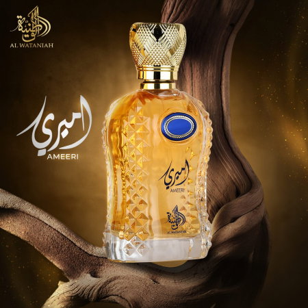Ameeri 100ml - Apa de Parfum, barbati [2]