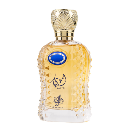 Ameeri 100ml - Apa de Parfum, barbati [5]