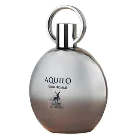 Aquilo Pour Homme 100ml - Apa de Parfum, barbati [1]