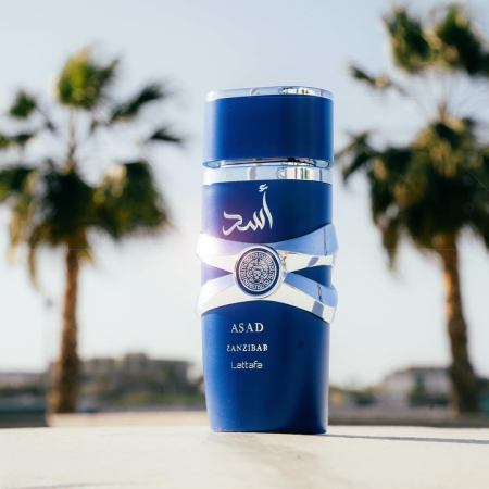 Asad Zanzibar 100ml - Apa de Parfum, barbati [3]